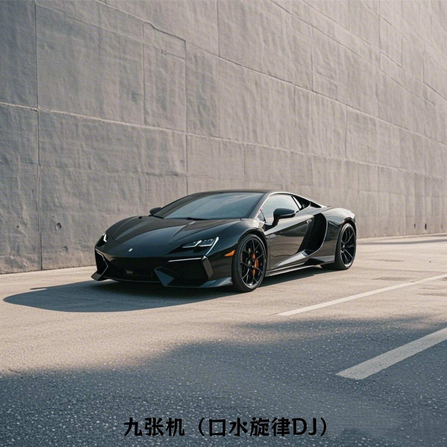 九张机 (口水旋律DJ)