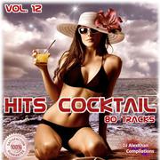Hits Cocktail Vol.12
