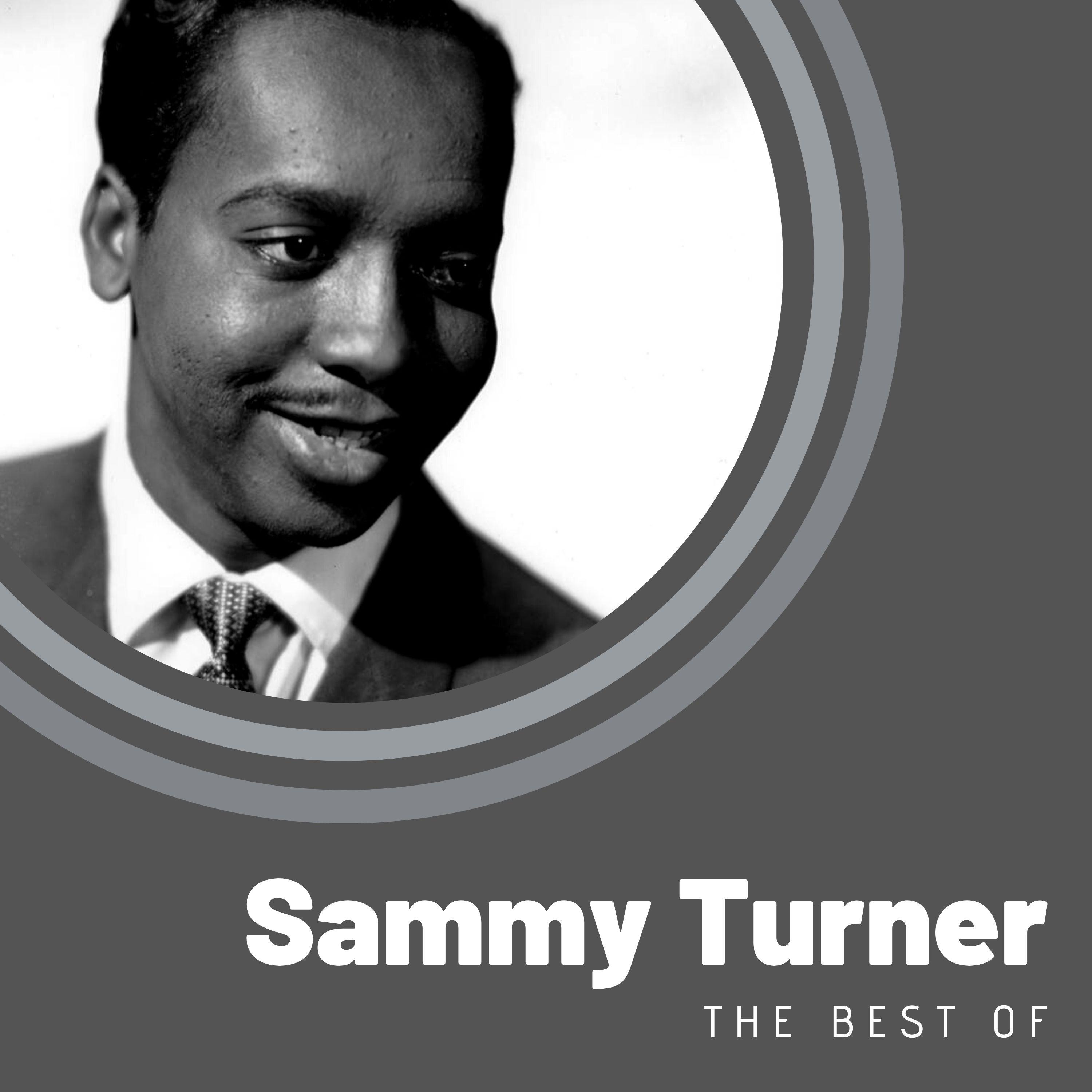 The Best of Sammy Turner