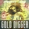 Gold Digger (Balkan Remix)专辑