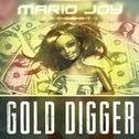 Gold Digger (Balkan Remix)专辑