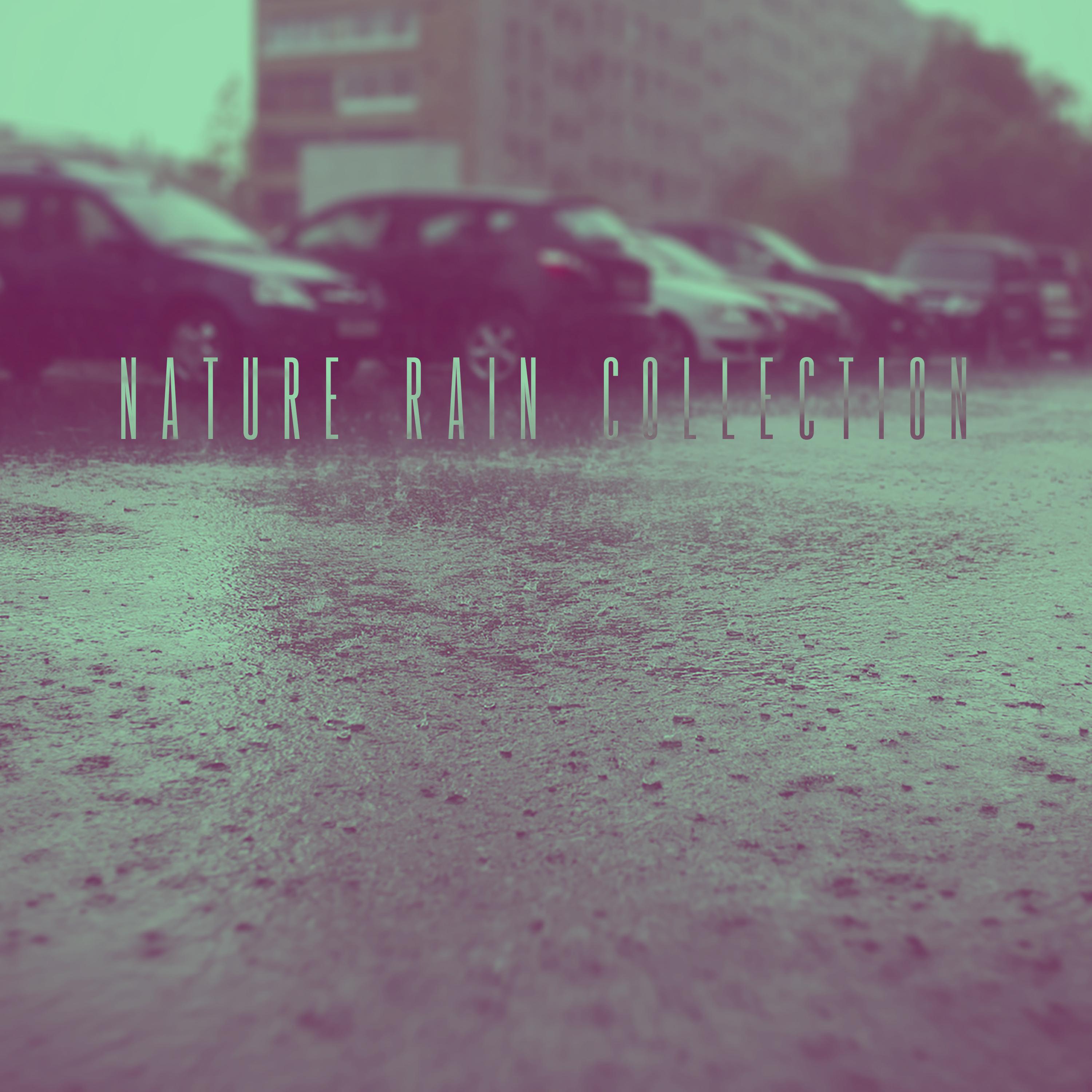 Nature Rain Collection