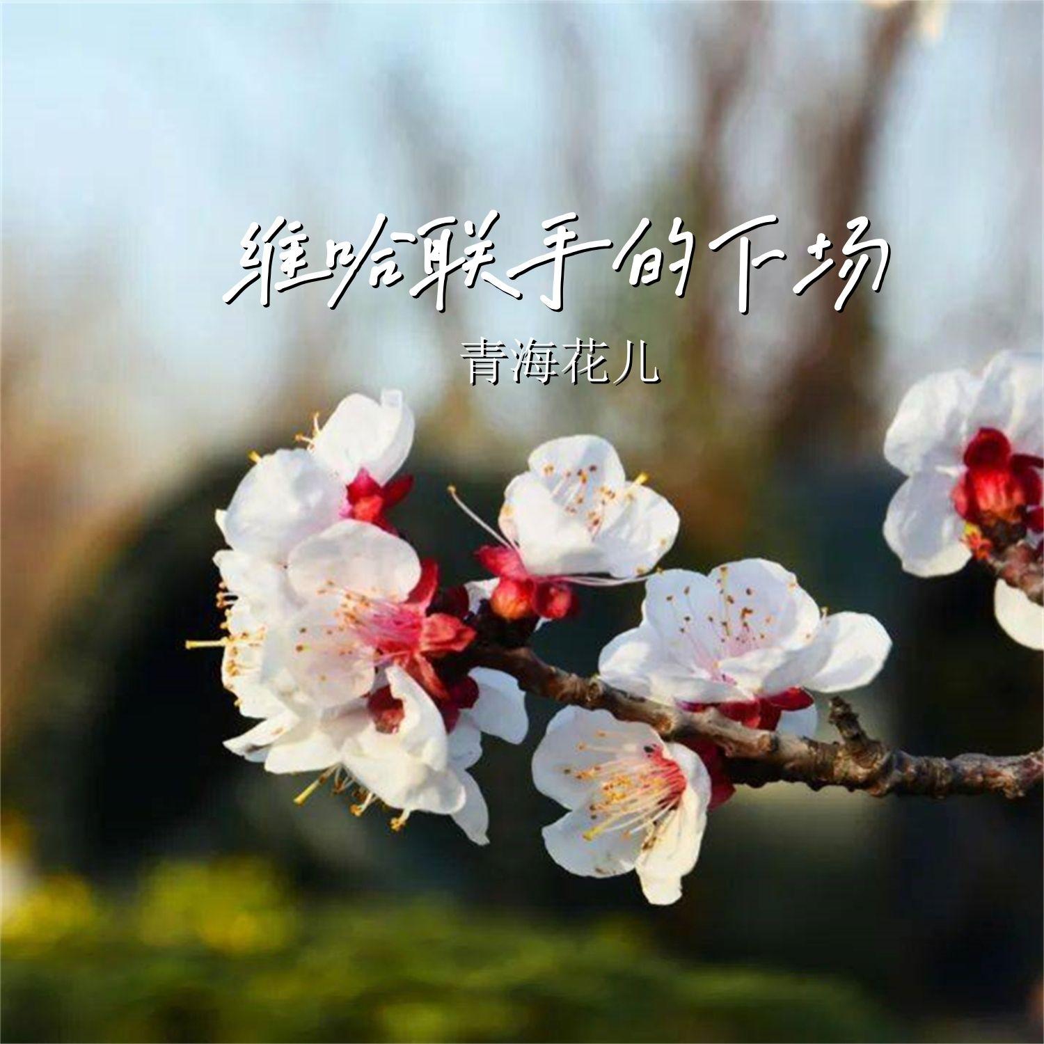 维哈联手的下场