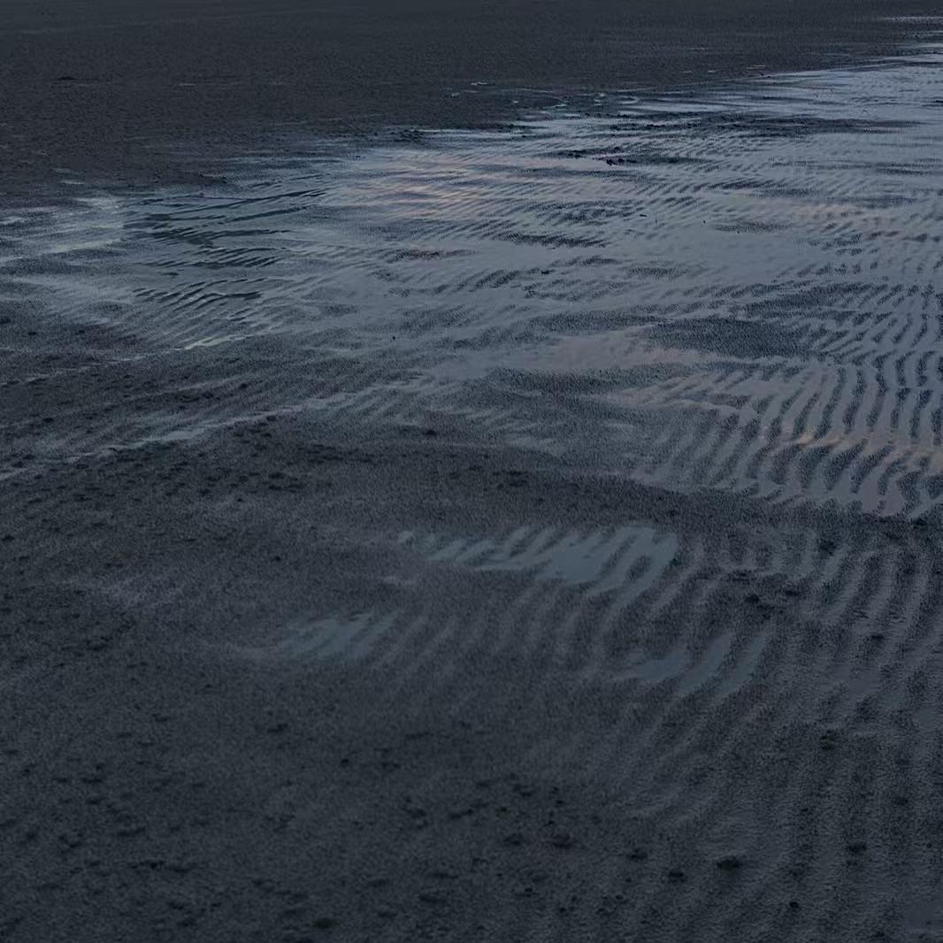 毒蛇