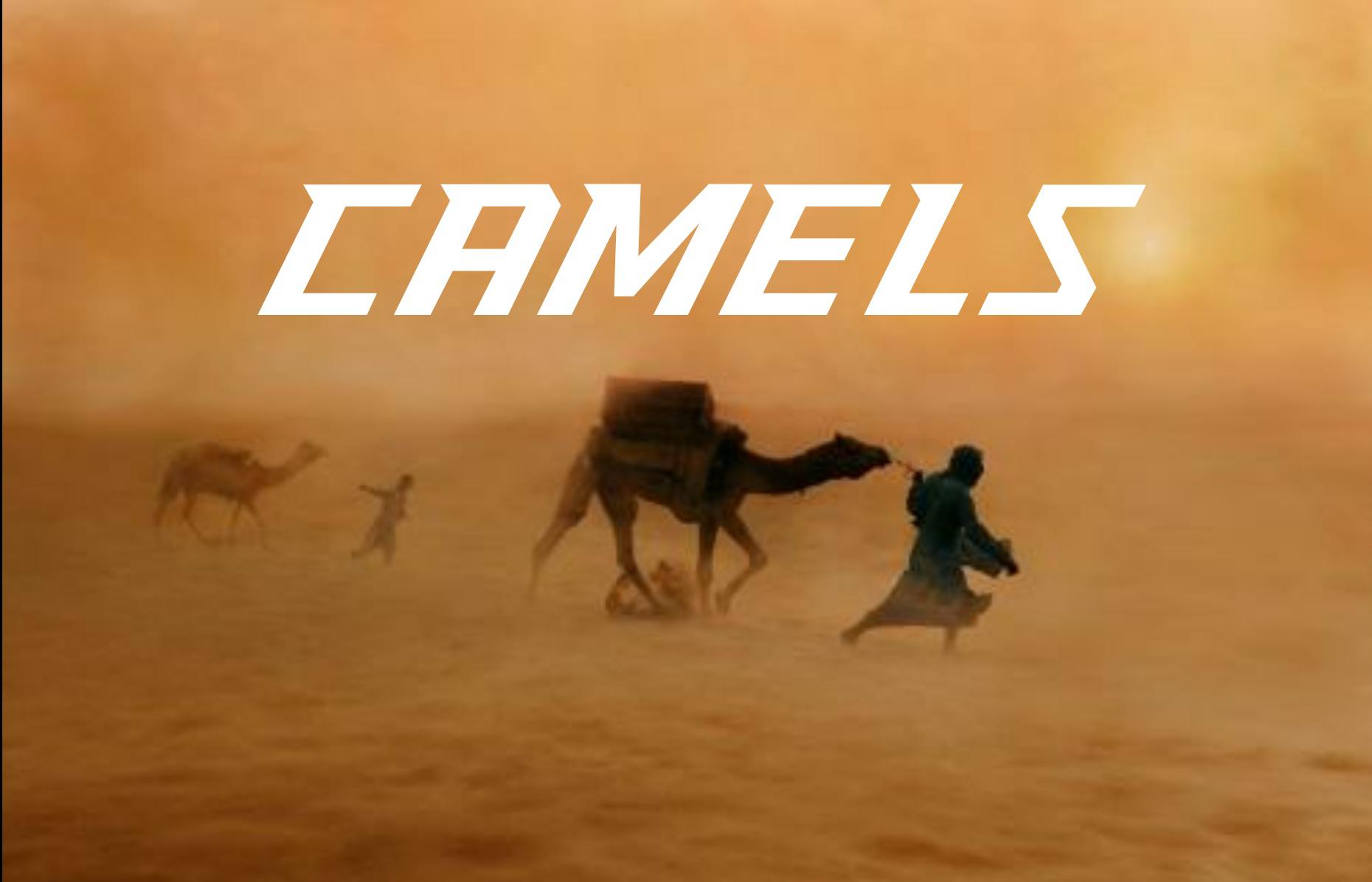 CAMELS专辑