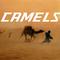 CAMELS专辑