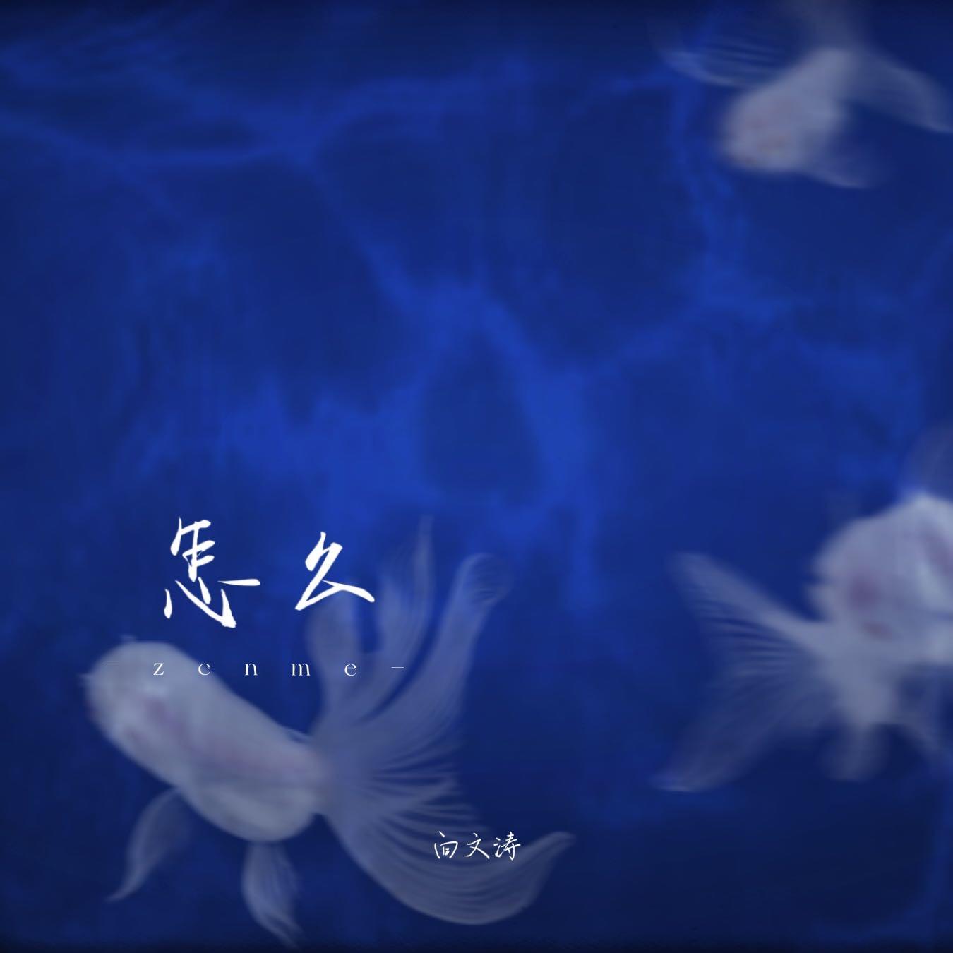 怎么
