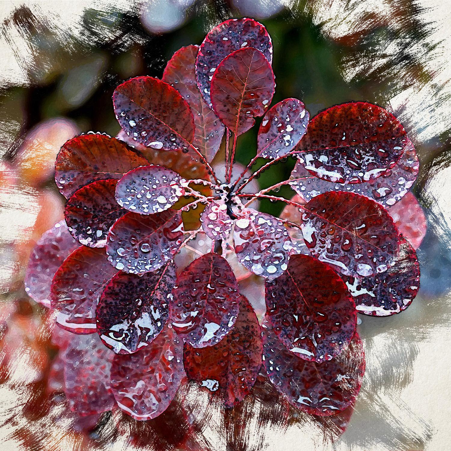 A Golden Age (Rain Version)