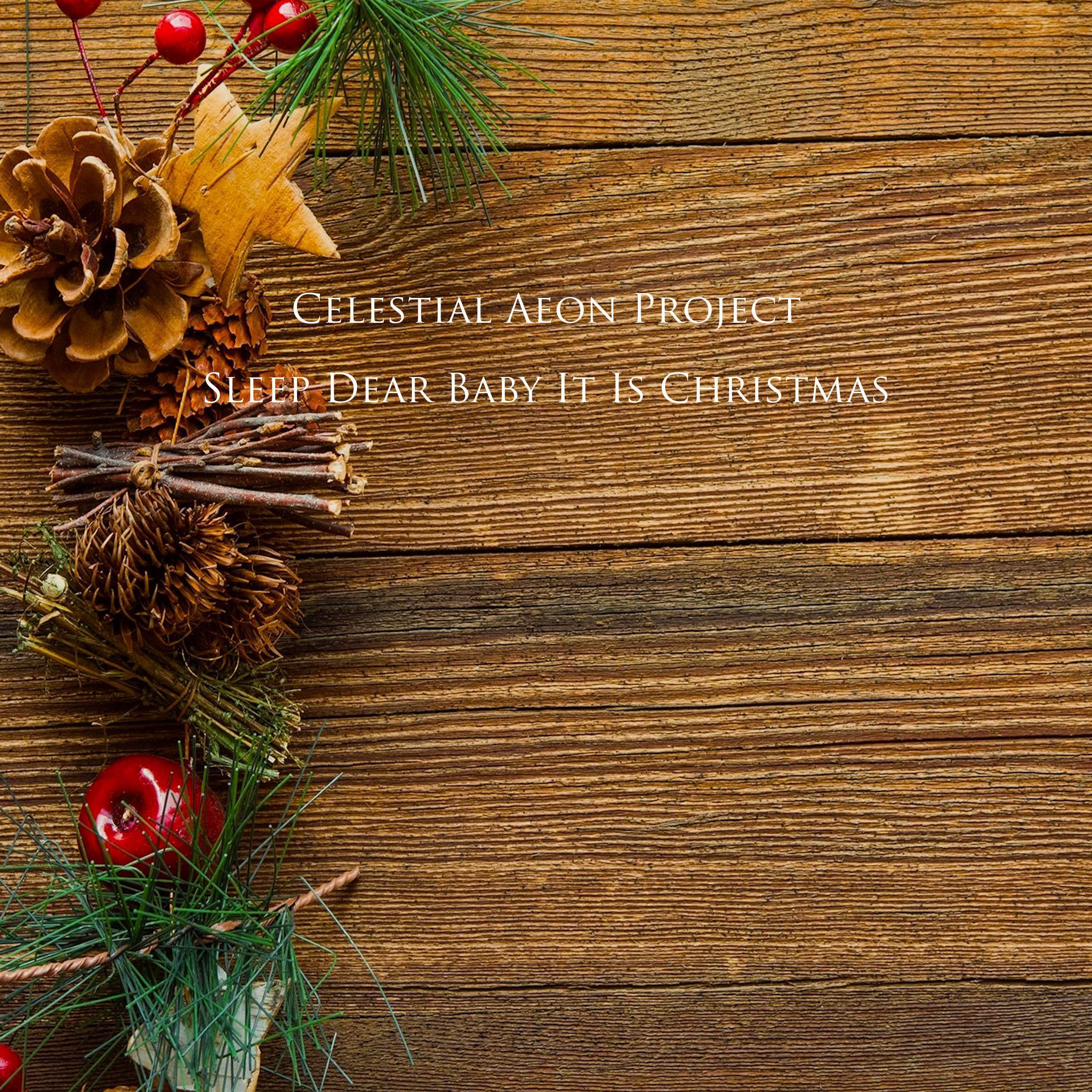 Sleep Dear Baby It Is Christmas