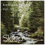 Sleep to Ambient Nature Sounds, Vol. 10专辑