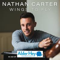 Wings to Fly - Nathan Carter (Karaoke Version) 带和声伴奏