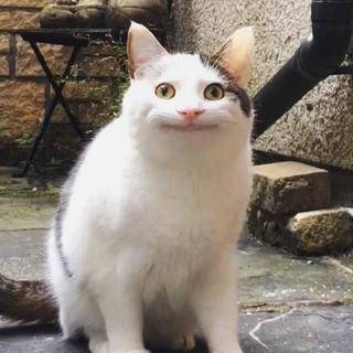 断妆残梦