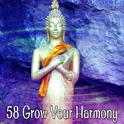 58 Grow Your Harmony专辑