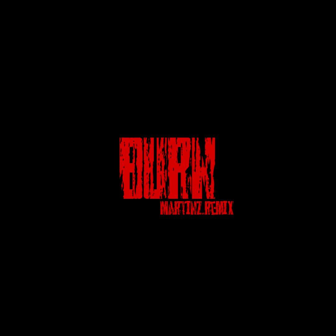 Burn(DJMartinZ.Remix)专辑