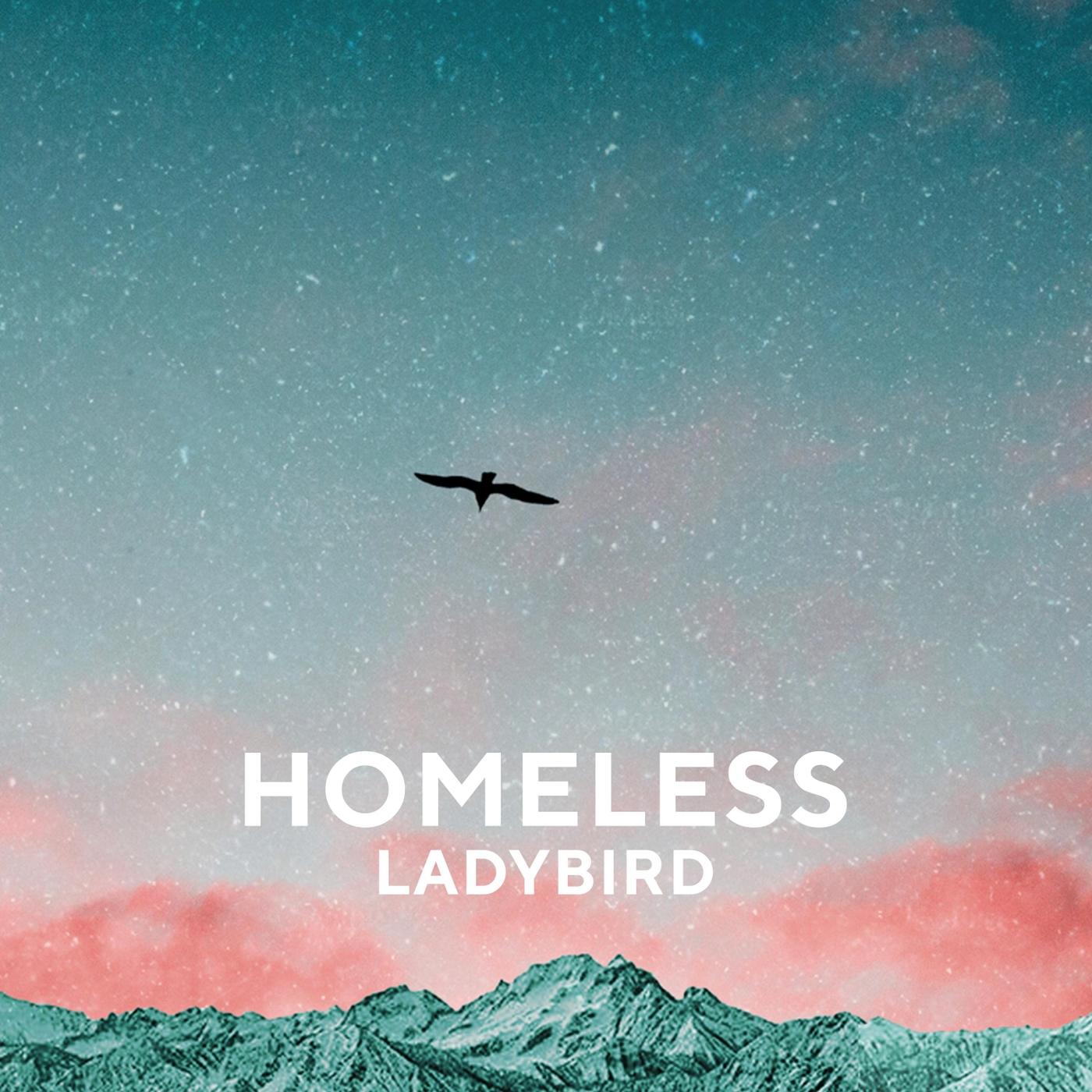 Ladybird