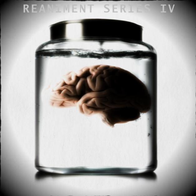 Reaniment Series IV