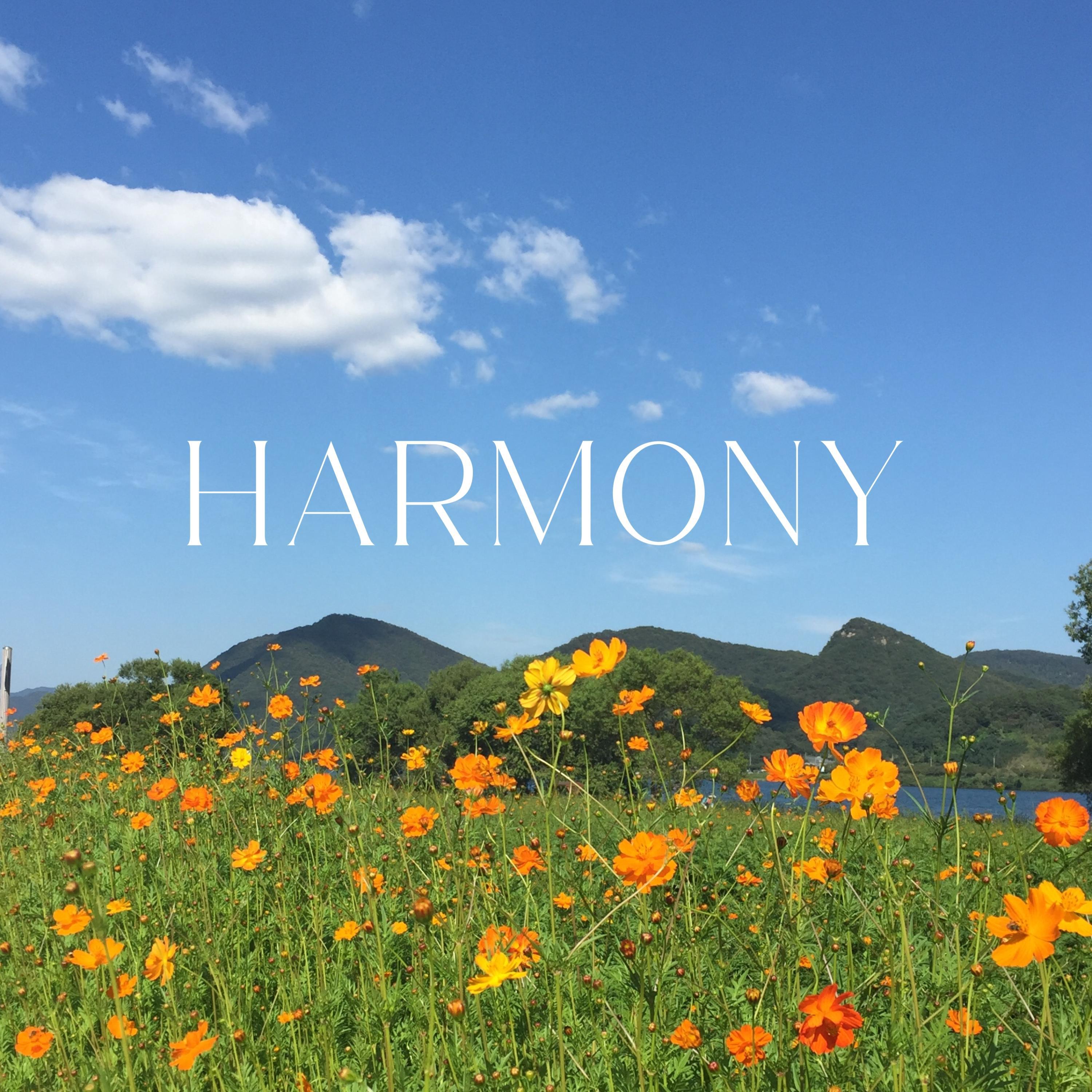 harmony haven - Look Inside Yourself