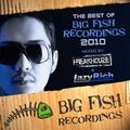 Freakhouze Special Best Of Big Fish 2010 [DJ Only]