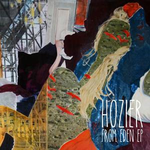 Hozier - From Eden (unofficial Instrumental) 无和声伴奏 （降6半音）