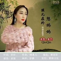 秦芹-孩儿在外想妈妈