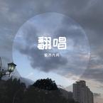 专辑《一些翻唱》