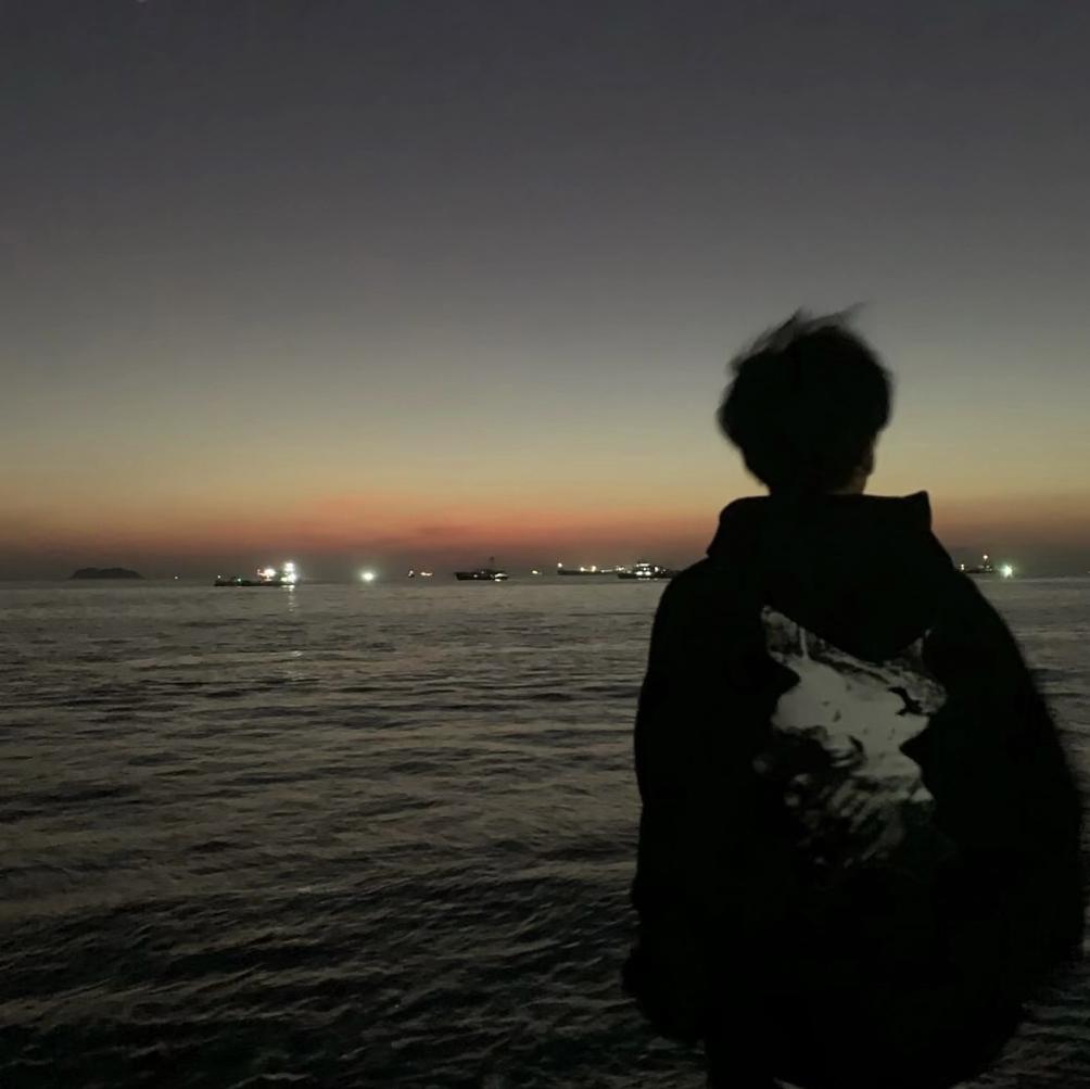 ZAYN-Dusk Till Dawn降调版（王勇小朋友 remix）