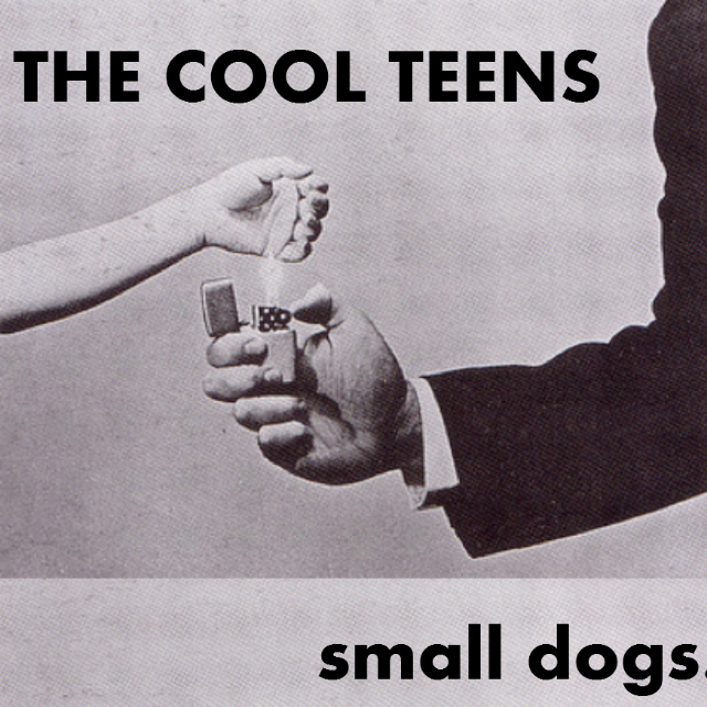 Small Dogs