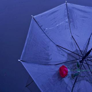 「 別 人 在 等 傘 我 在 等 雨 停 」