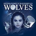 wolves(Abiy Rimix)