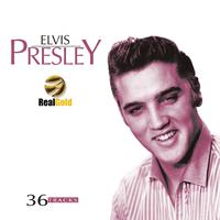 Poor Boy - Elvis Presley (PT karaoke) 带和声伴奏