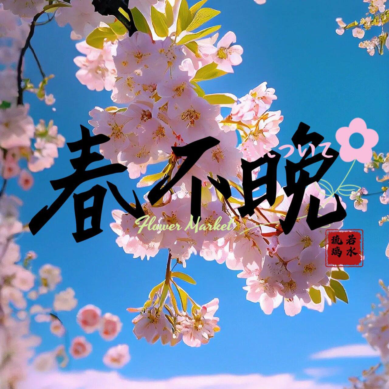 春不晚