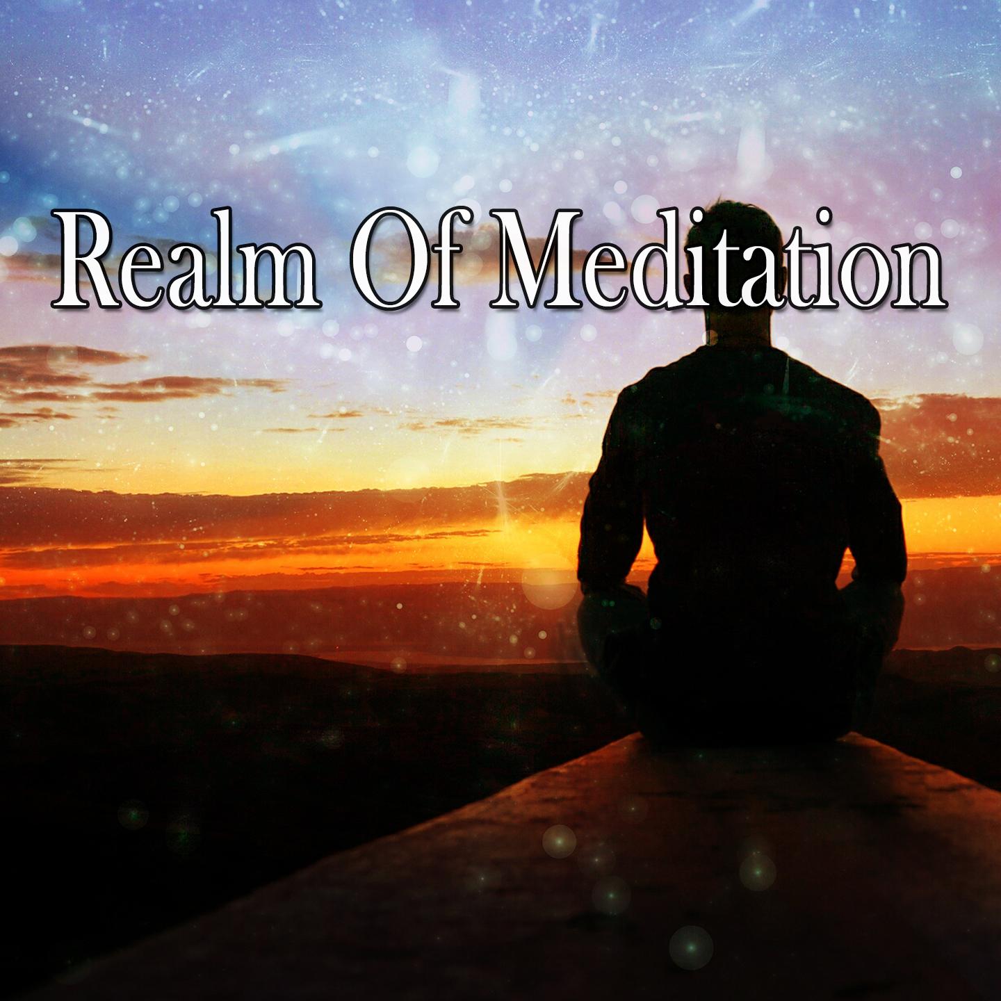 Realm Of Meditation专辑