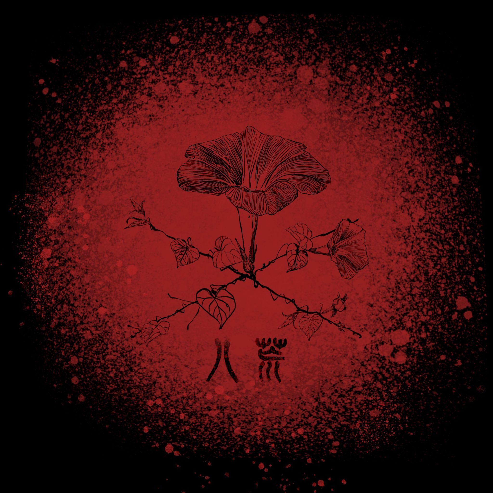 我们去往陌生世界