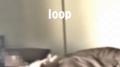 loop