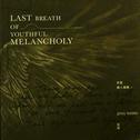 Last Breath of Youthful Melancholy专辑