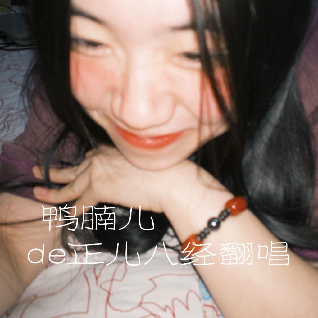 鸭腩儿de翻唱集