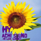 ACHI SOUND ~HY LOVE SUMMER~专辑