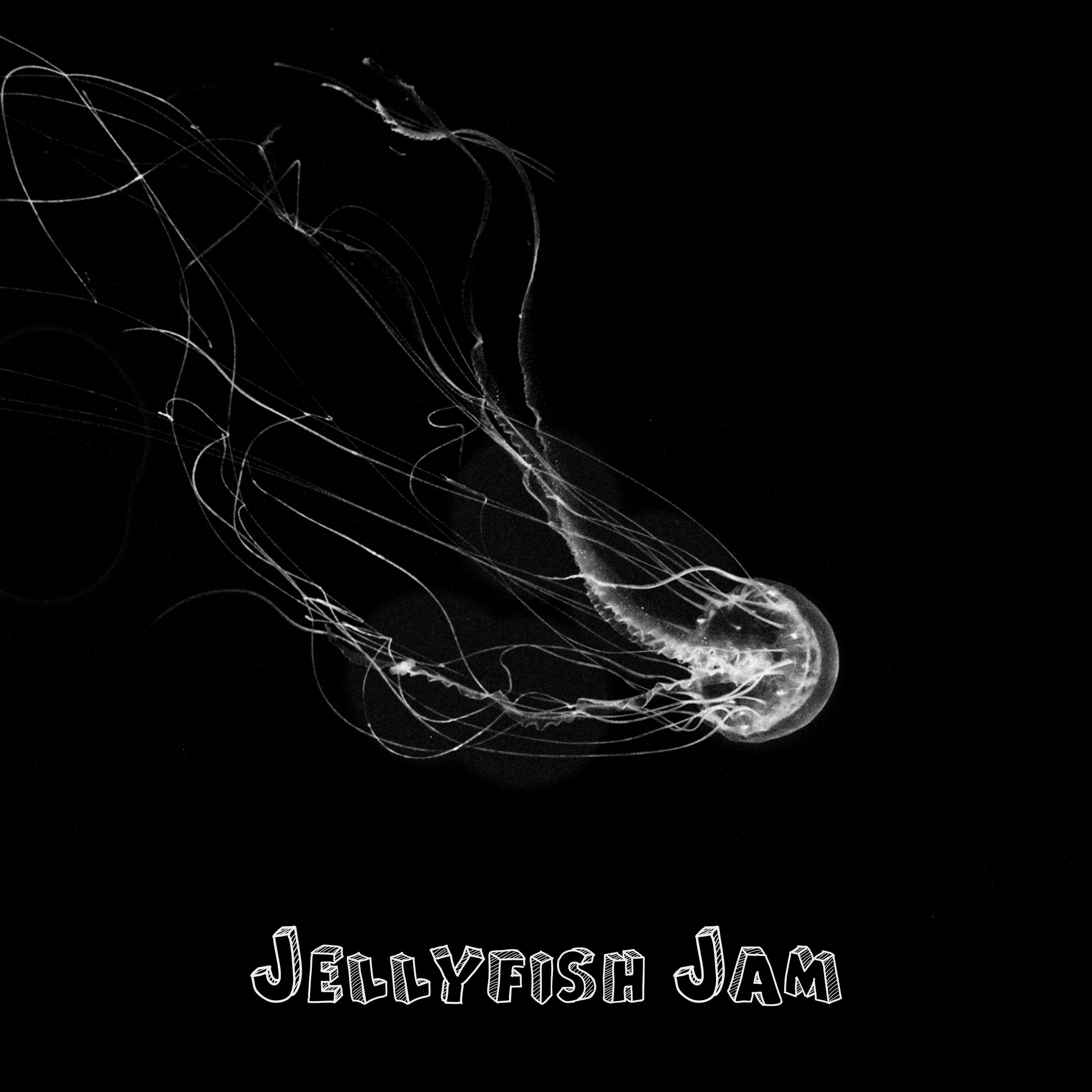 Jellyfish Jam专辑