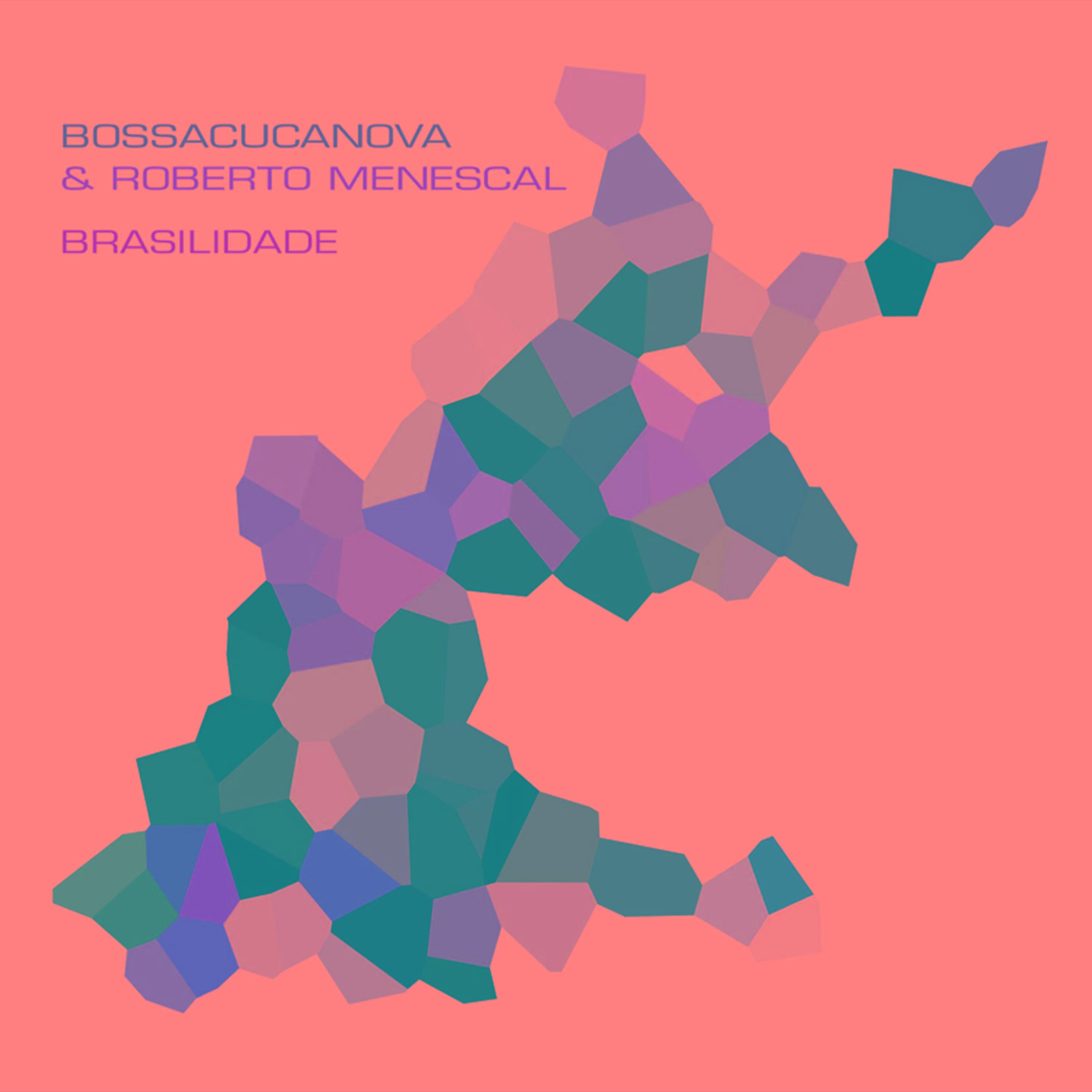 Brasilidade