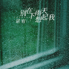 别在下雨天想起我