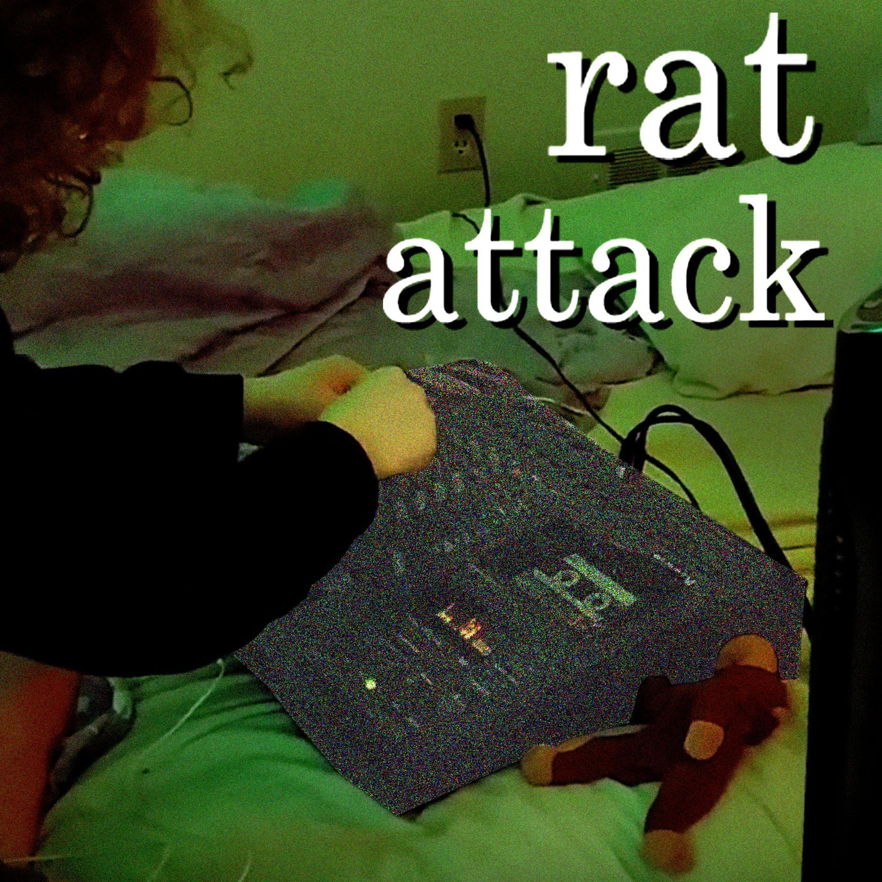 rat attack