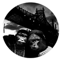 The Gorilla Deep EP Vinyl专辑