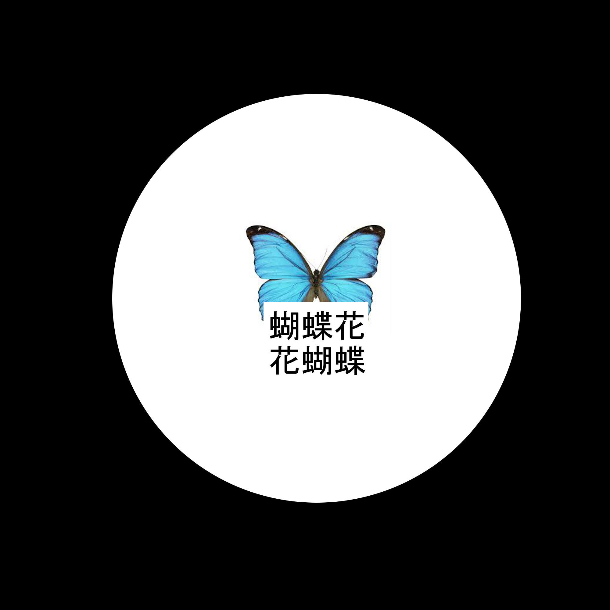 Butterfly 花蝴蝶蝴蝶花专辑