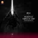 Temple Of Light (Qlimax Anthem 2017)专辑