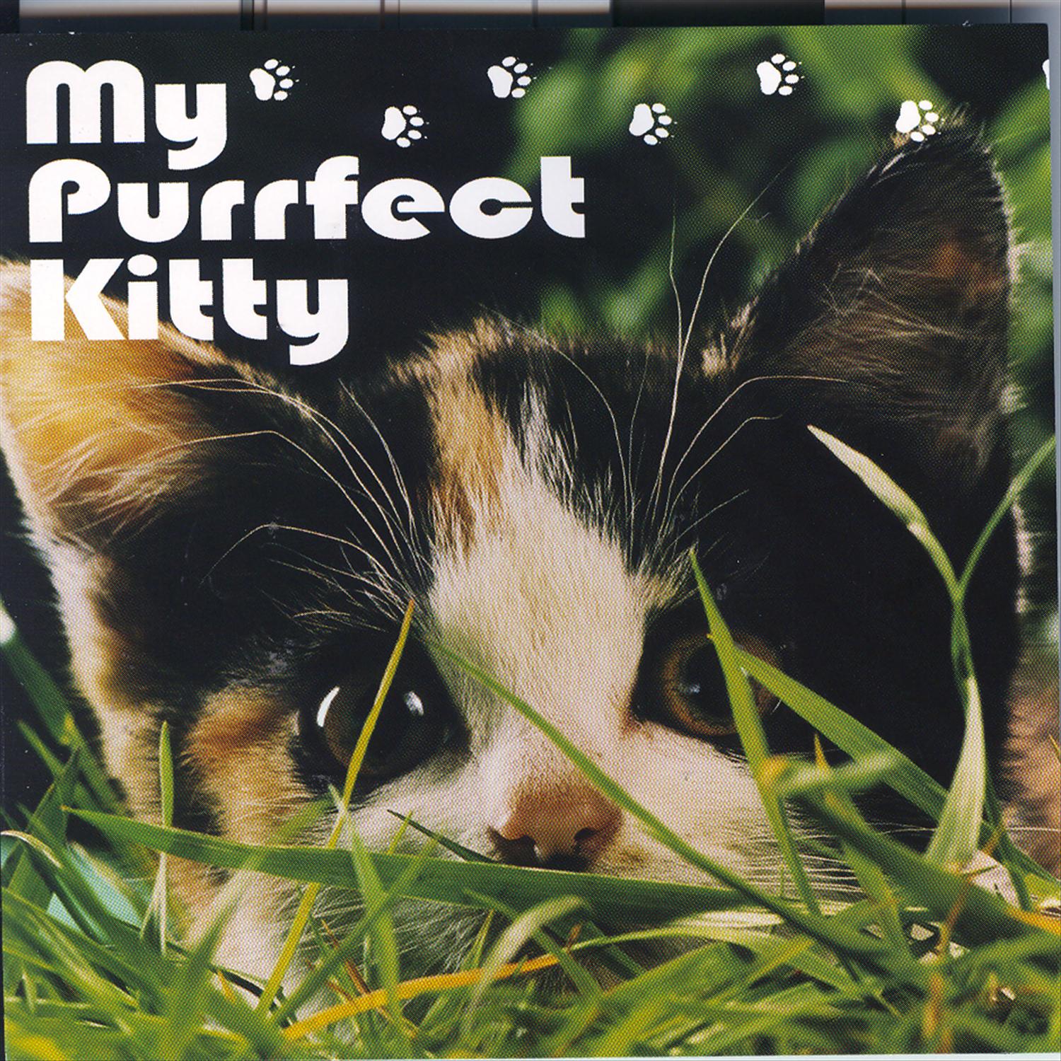 My Pufffect Kitty