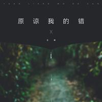 王峰 - 原谅我的错