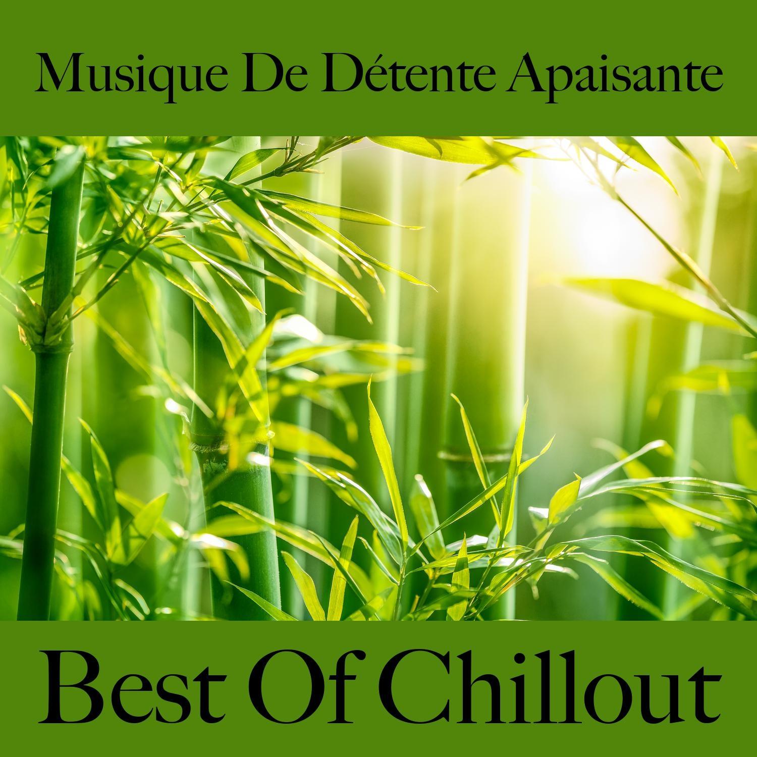 Musique de détente apaisante: best of chillout