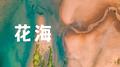 花海 (女生版)专辑