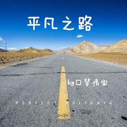 平凡之路 说唱版