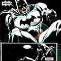 BAT AMN